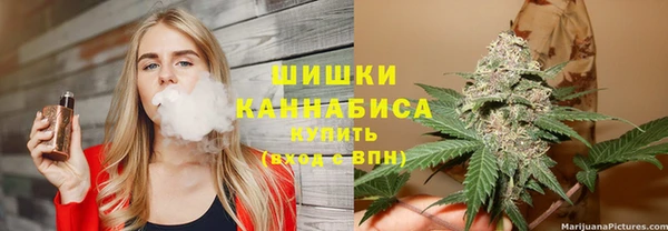 спиды Пересвет