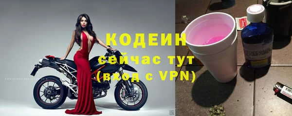 спиды Пересвет