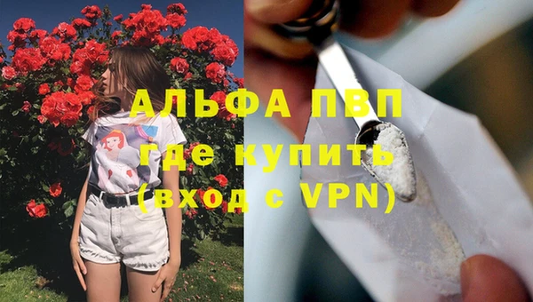 винт Осташков