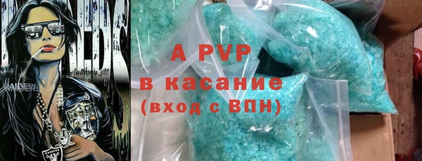 спиды Пересвет