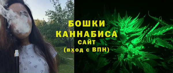 винт Осташков