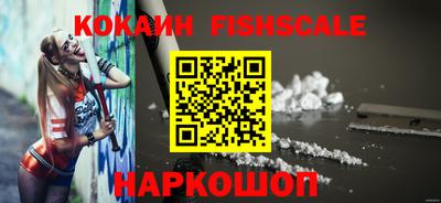 гашик Донской