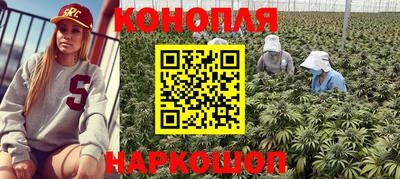 прущие крисы Бийск