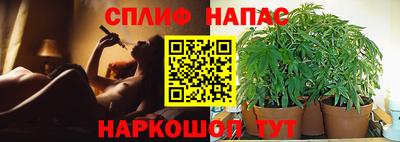 гашик Донской