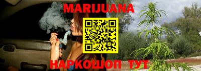 прущие крисы Бийск