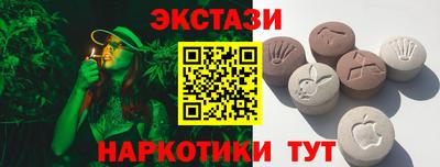 гашик Донской