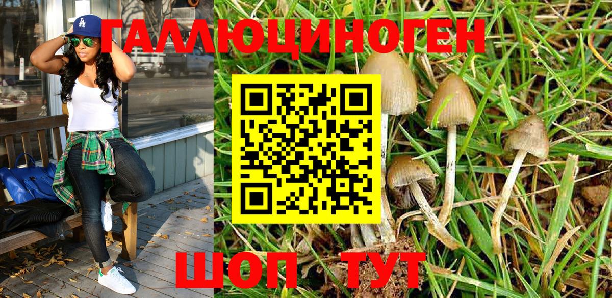 Галлюциногенные грибы MAGIC MUSHROOMS Туймазы