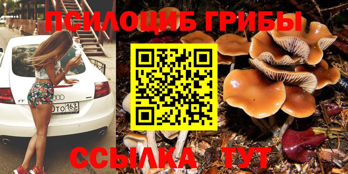 Галлюциногенные грибы GOLDEN TEACHER  Псилоцибиновые грибы Cubensis  Туймазы  Вход с VPN 